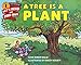 Algopix Similar Product 7 - A Tree Is a Plant