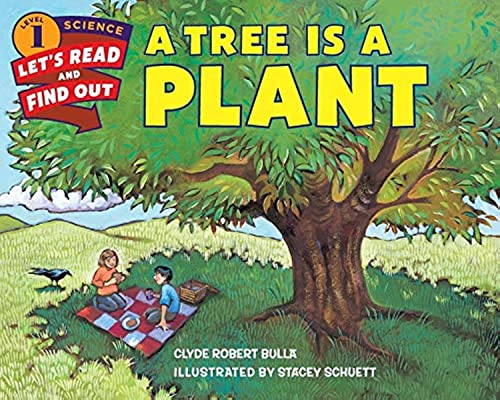 Algopix Similar Product 3 - A Tree Is a Plant