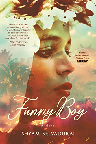 Algopix Similar Product 6 - Funny Boy: A Novel