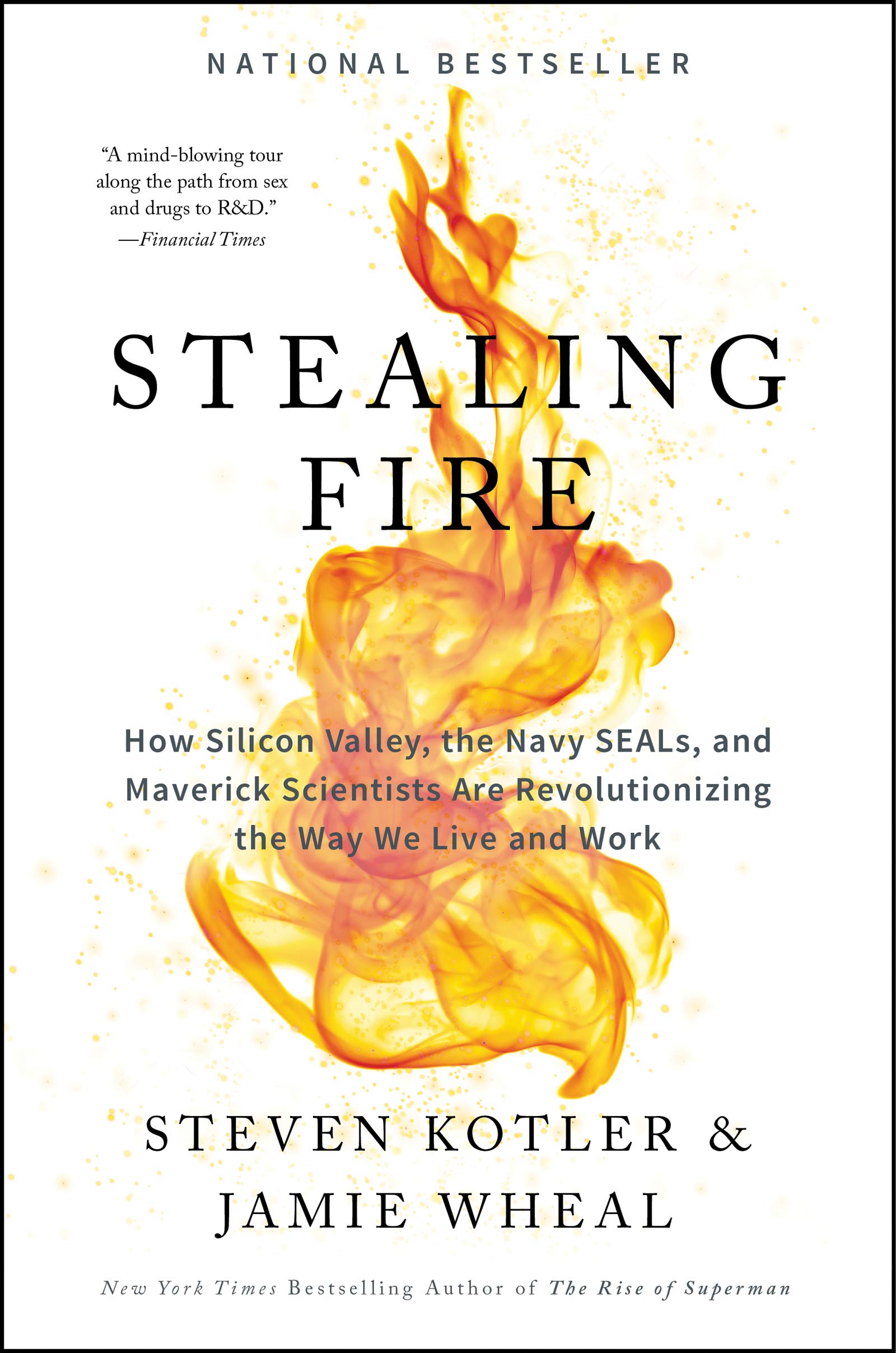 Algopix Similar Product 12 - Stealing Fire How Silicon Valley the