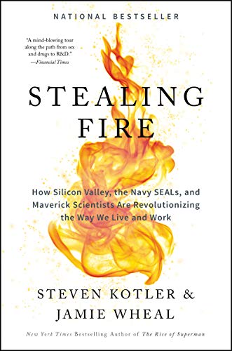 Algopix Similar Product 3 - Stealing Fire How Silicon Valley the