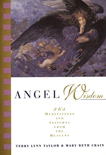 Algopix Similar Product 2 - Angel Wisdom 365 Meditations and