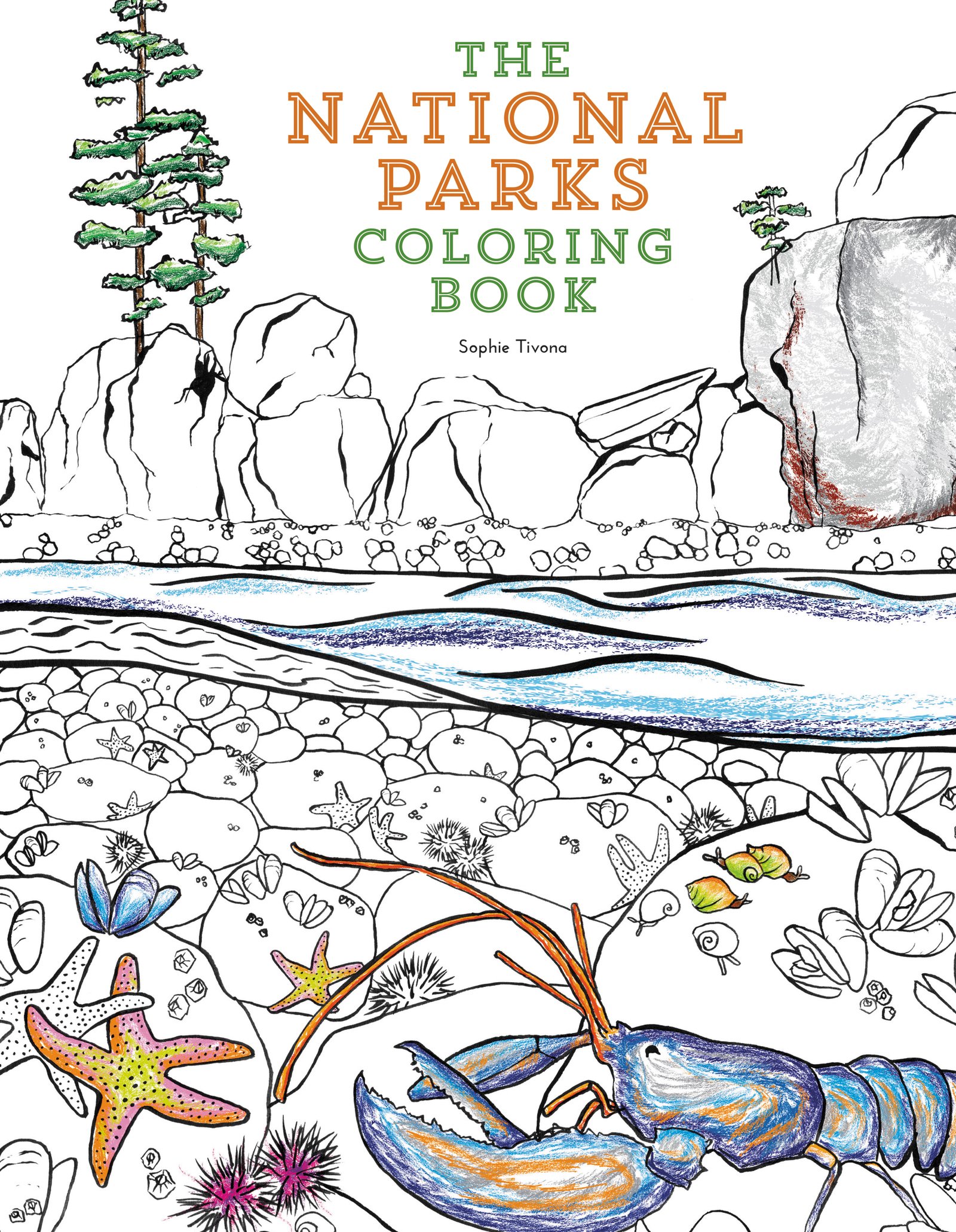 Algopix Similar Product 9 - The National Parks Coloring Book