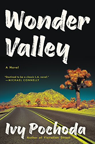 Algopix Similar Product 11 - Wonder Valley: A Novel
