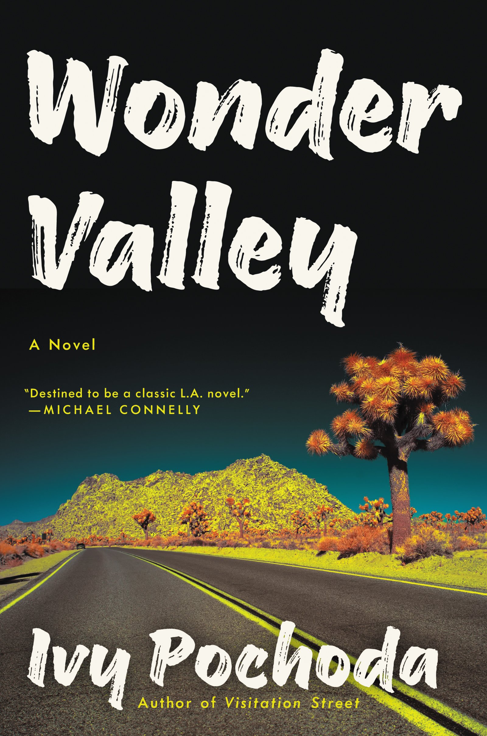 Algopix Similar Product 17 - Wonder Valley: A Novel