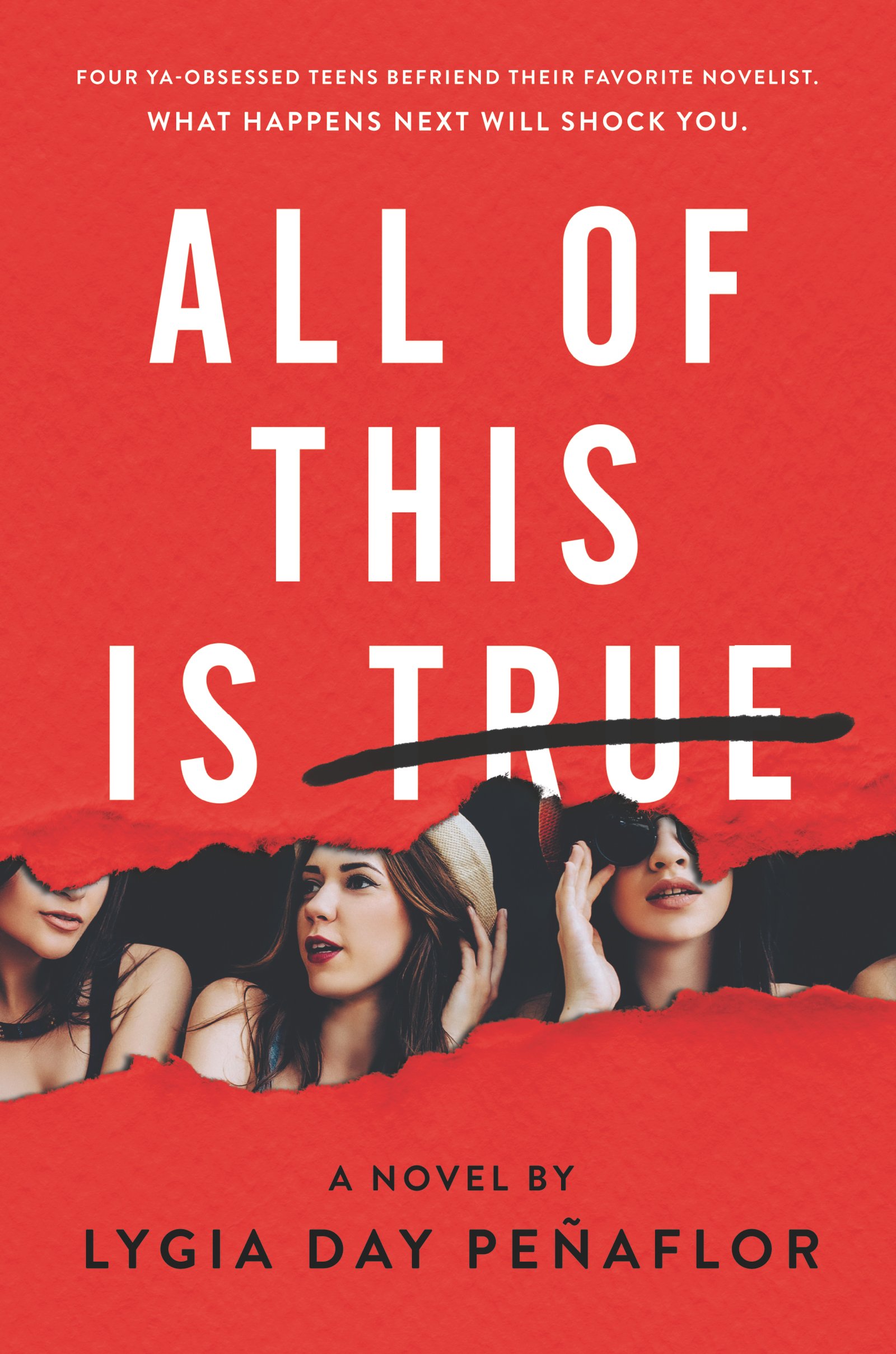 Algopix Similar Product 5 - All of This Is True: A Novel