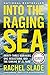 Algopix Similar Product 7 - Into the Raging Sea ThirtyThree