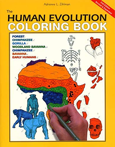Algopix Similar Product 11 - The Human Evolution Coloring Book