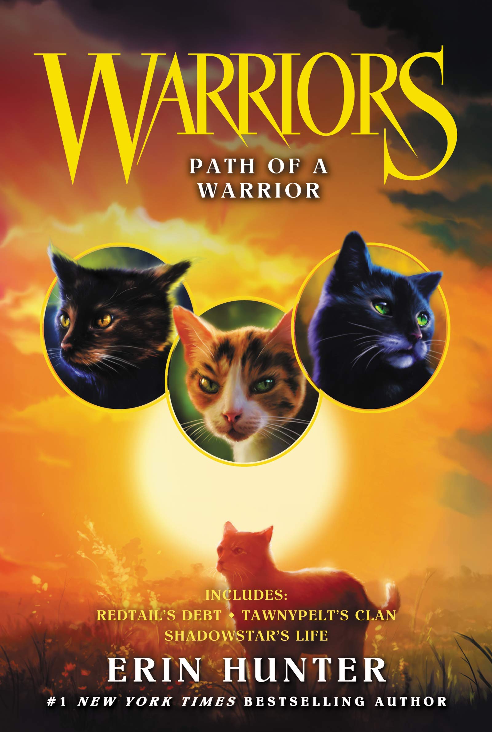 Algopix Similar Product 2 - Warriors Path of a Warrior Warriors
