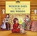 Algopix Similar Product 12 - Winter Days in the Big Woods My First