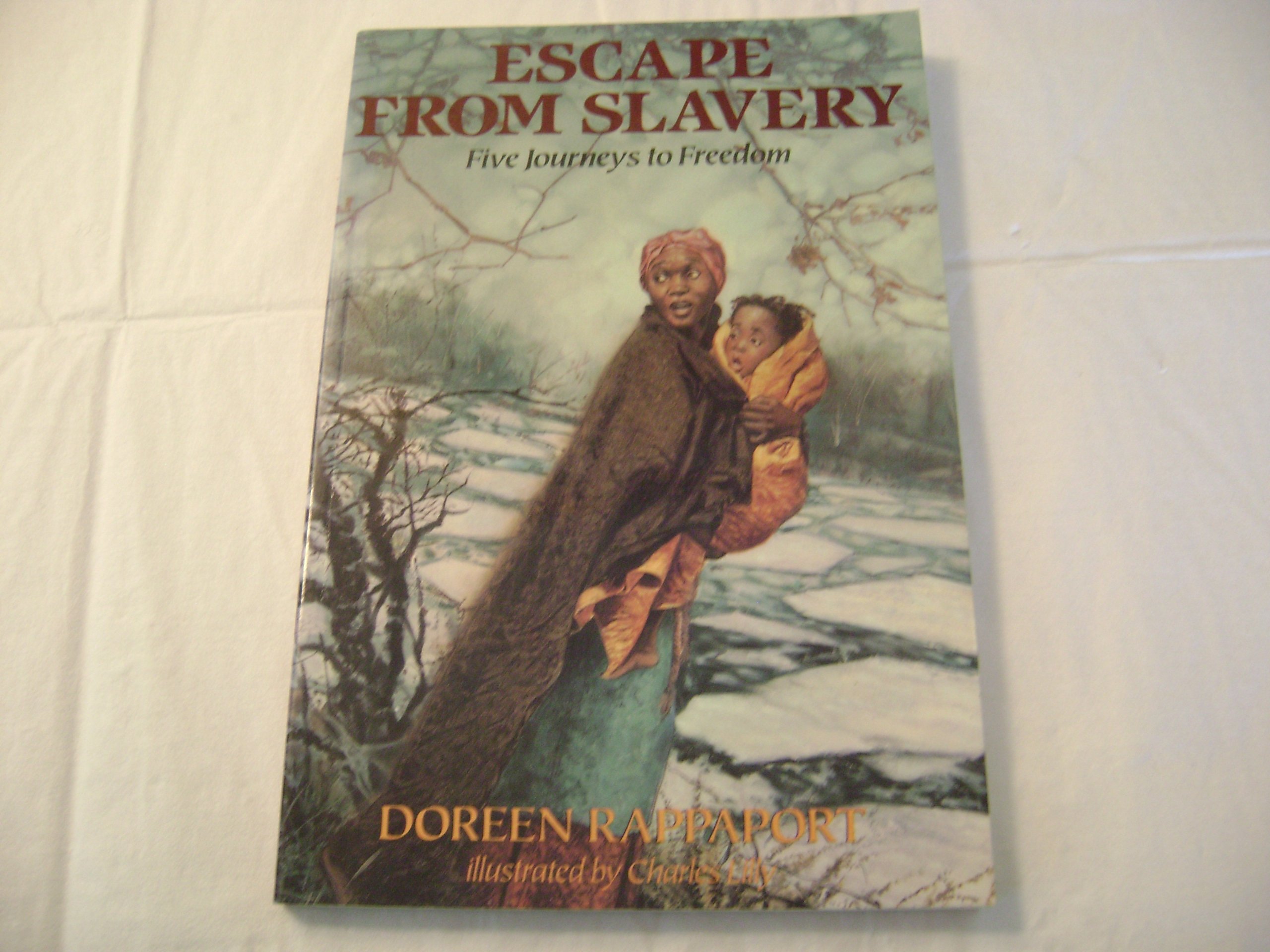 Algopix Similar Product 20 - Escape from Slavery Five Journeys to