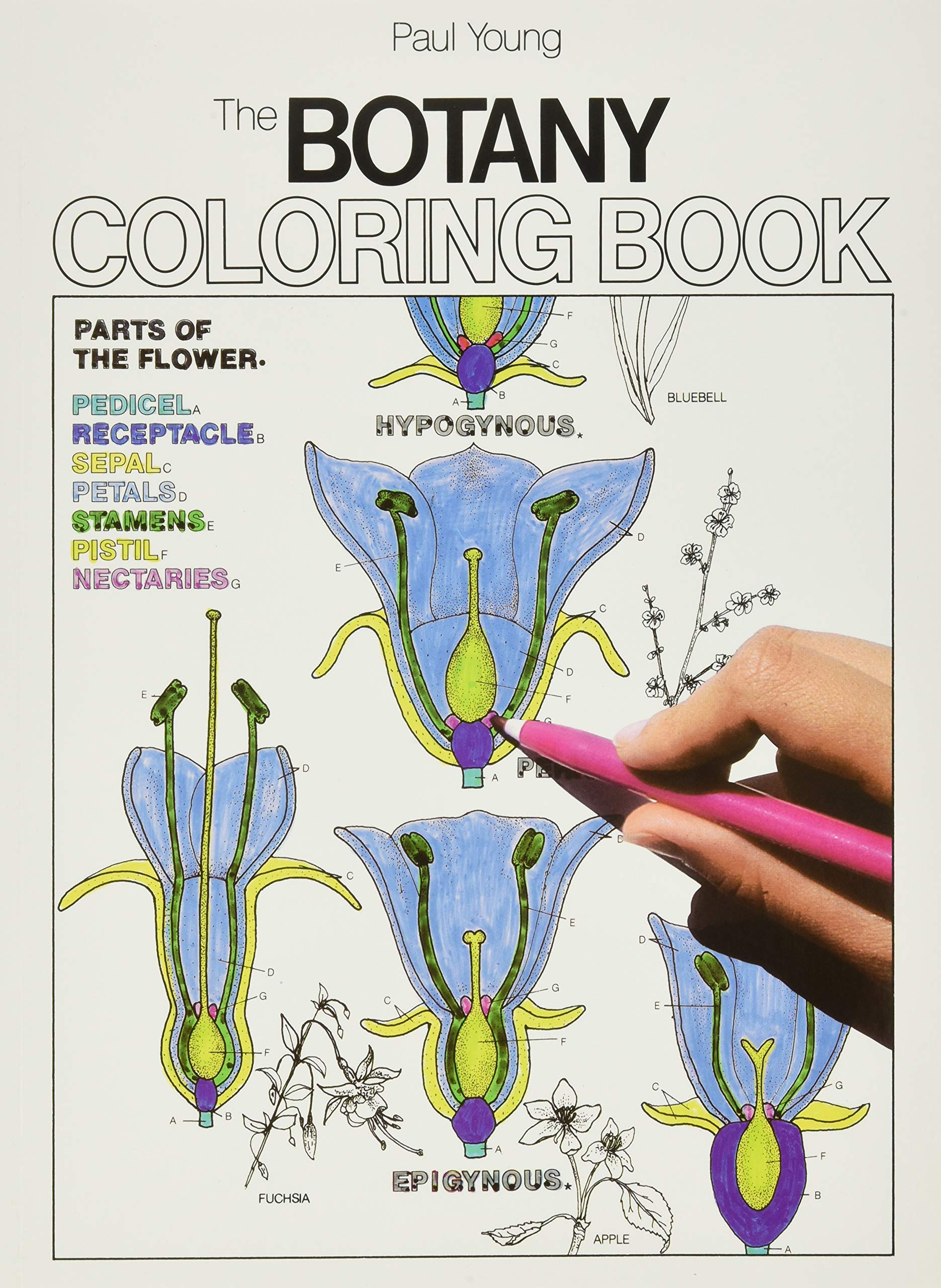 Algopix Similar Product 14 - The Botany Coloring Book