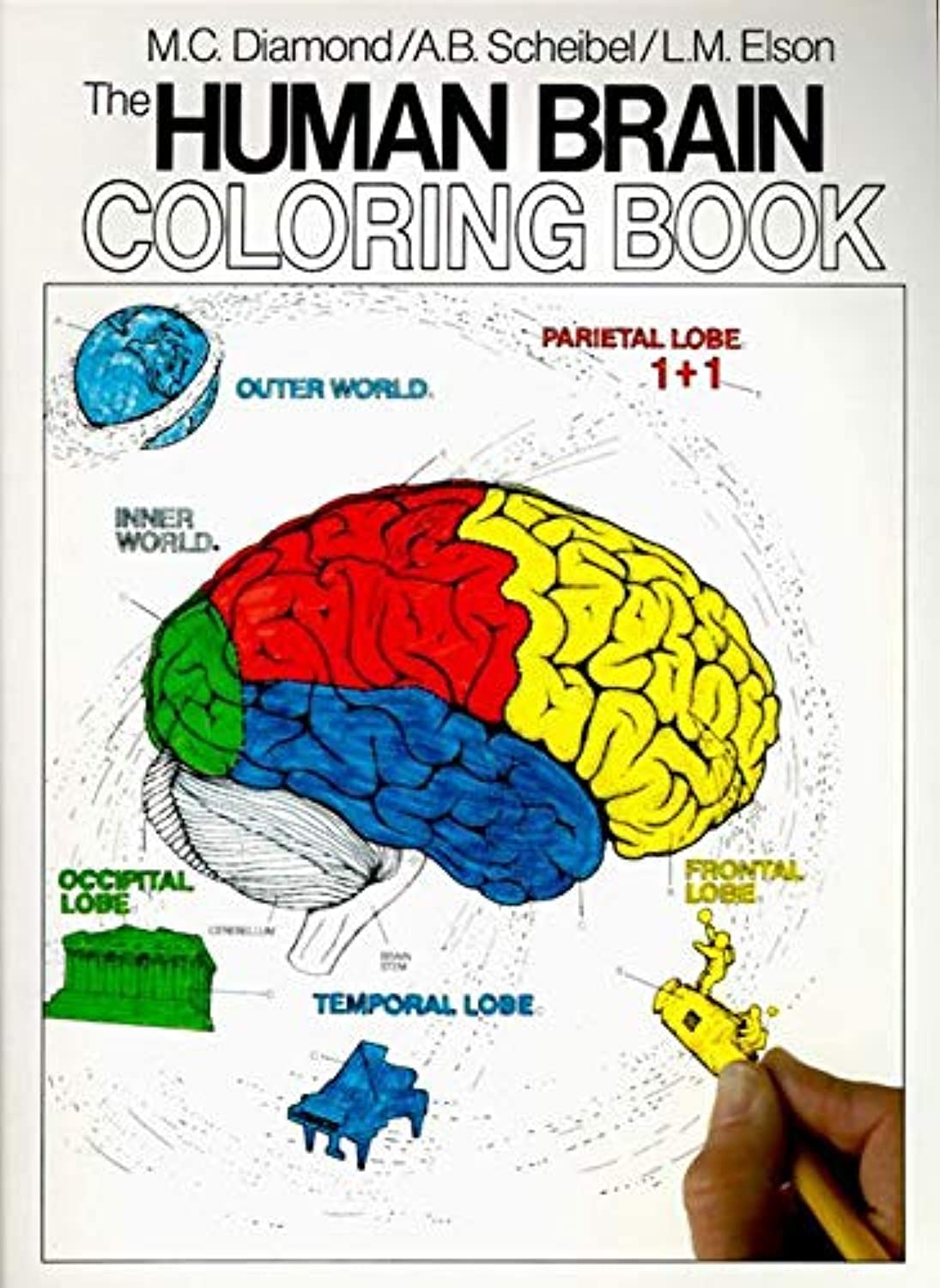 Algopix Similar Product 20 - The Human Brain Coloring Book A