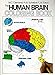 Algopix Similar Product 18 - The Human Brain Coloring Book A