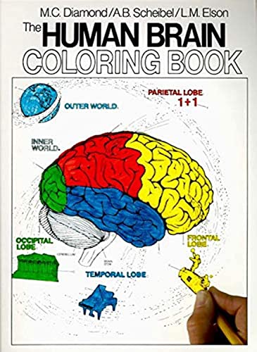 Algopix Similar Product 13 - The Human Brain Coloring Book A