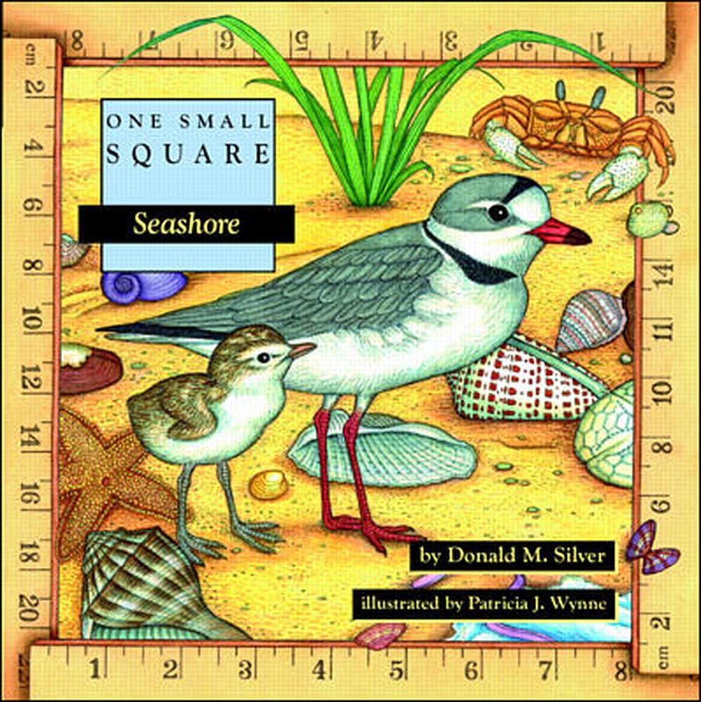 Algopix Similar Product 4 - Seashore (One Small Square)