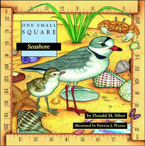 Algopix Similar Product 9 - Seashore (One Small Square)