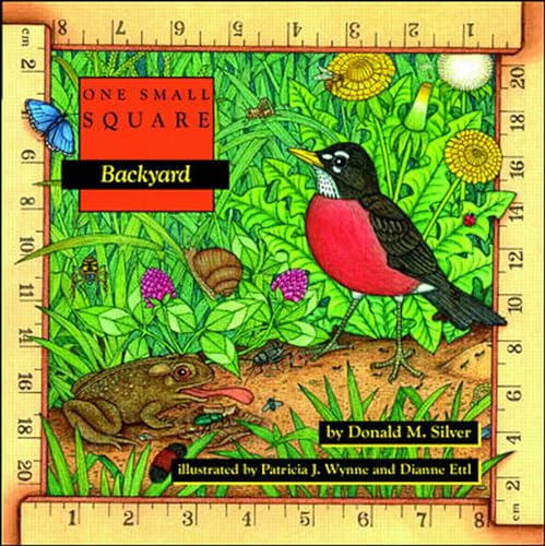Algopix Similar Product 13 - Backyard
