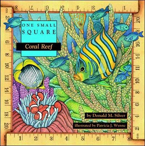 Algopix Similar Product 10 - Coral Reef