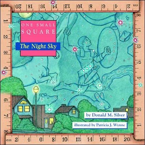 Algopix Similar Product 18 - One Small Square, The Night Sky