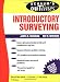 Algopix Similar Product 9 - Schaums Outline of Introductory