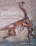 Algopix Similar Product 11 - Bringing Fossils To Life An