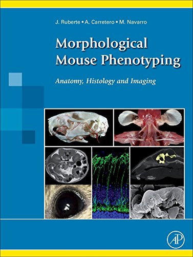 Algopix Similar Product 12 - Morphological Mouse Phenotyping