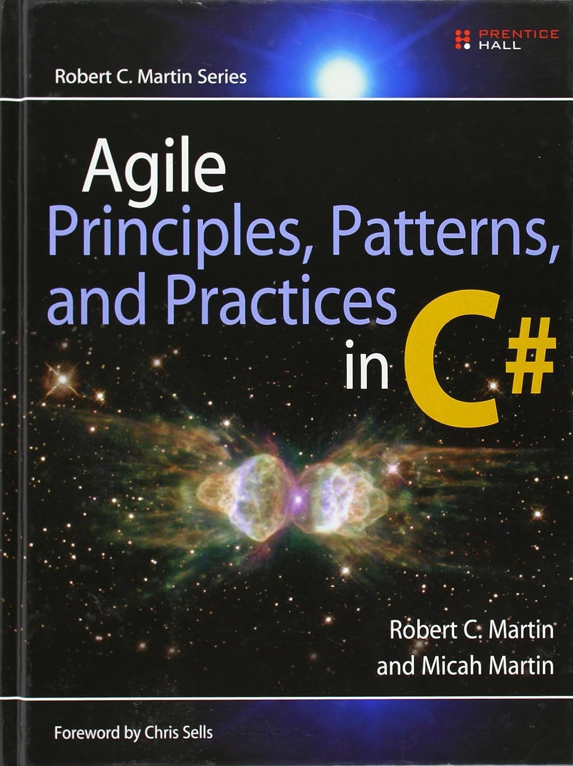 Algopix Similar Product 11 - Agile Principles Patterns and