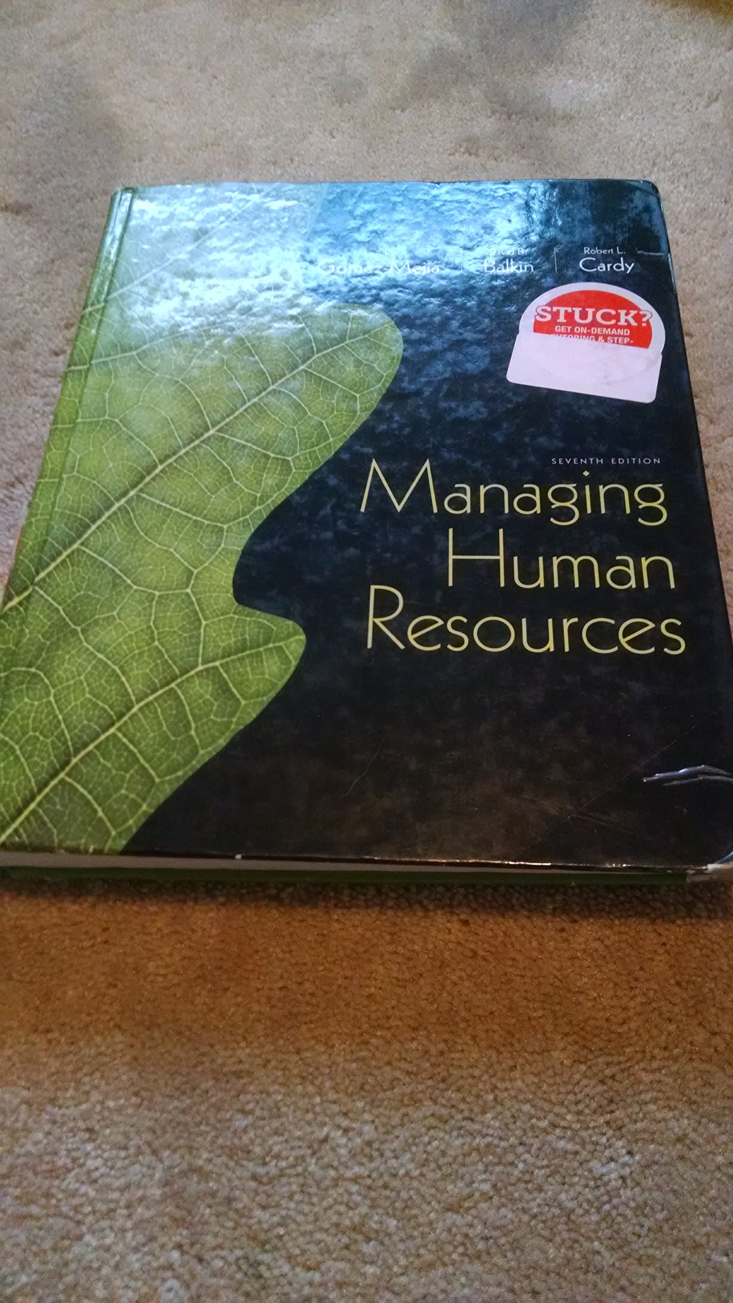 Algopix Similar Product 15 - Managing Human Resources