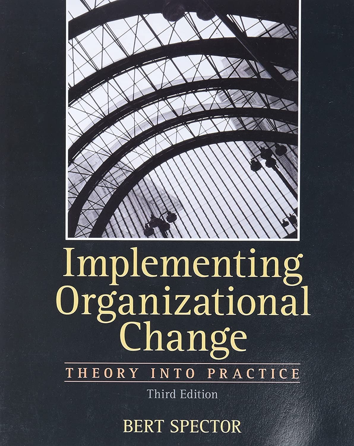 Algopix Similar Product 18 - Implementing Organizational Change