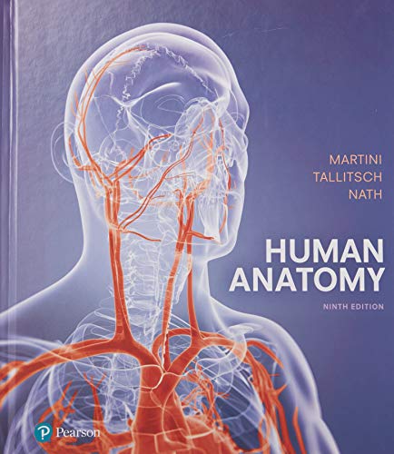 Algopix Similar Product 10 - Human Anatomy