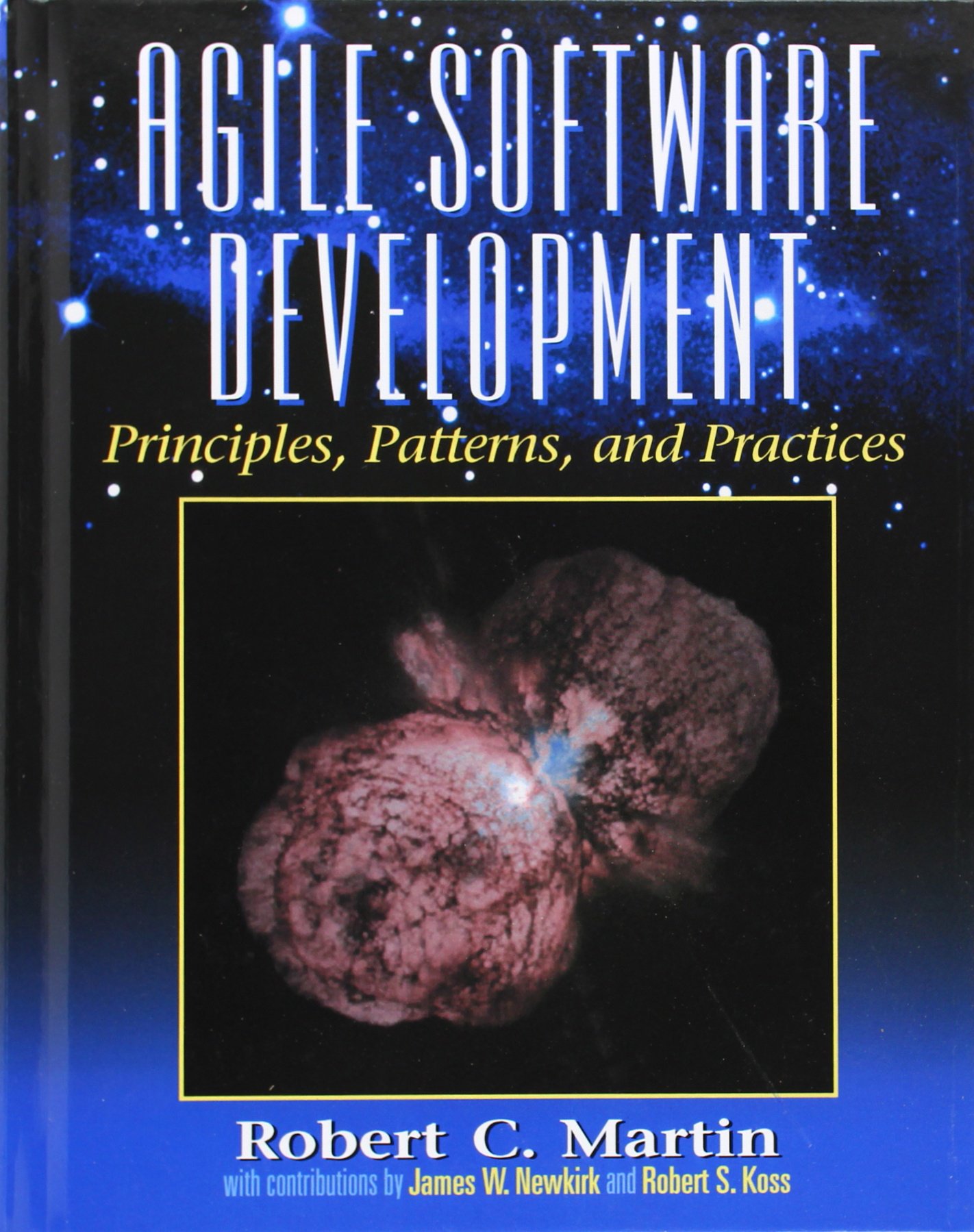 Algopix Similar Product 2 - Agile Software Development Principles