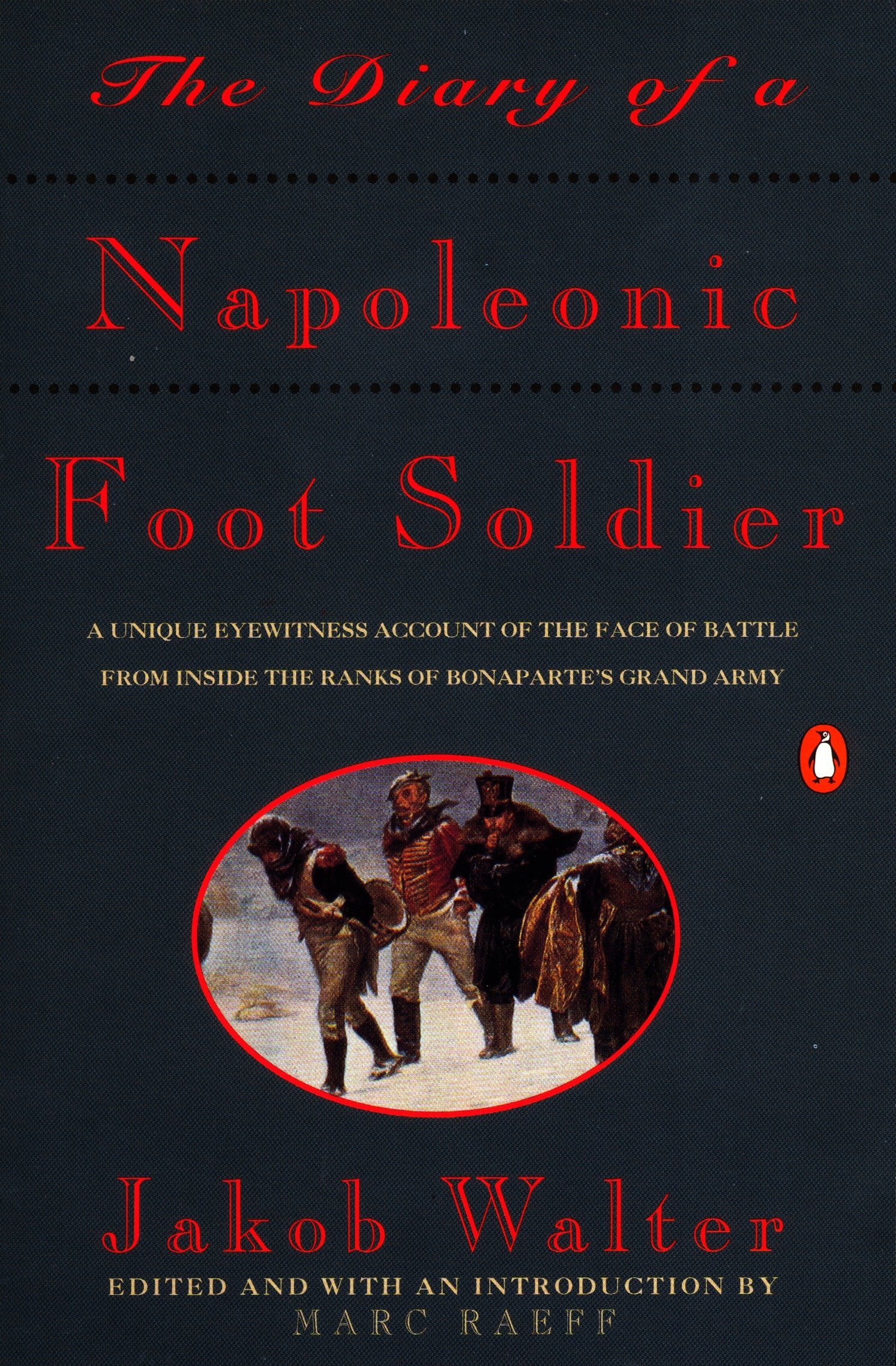 Algopix Similar Product 13 - The Diary of a Napoleonic Foot Soldier