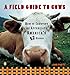 Algopix Similar Product 5 - A Field Guide to Cows How to Identify