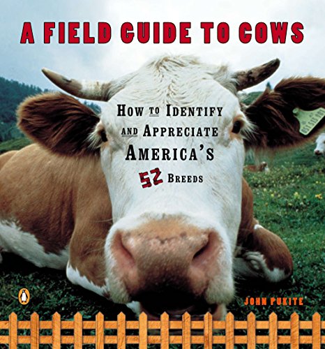 Algopix Similar Product 1 - A Field Guide to Cows How to Identify