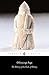 Algopix Similar Product 17 - Orkneyinga Saga The History of the