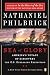 Algopix Similar Product 5 - Sea of Glory Americas Voyage of