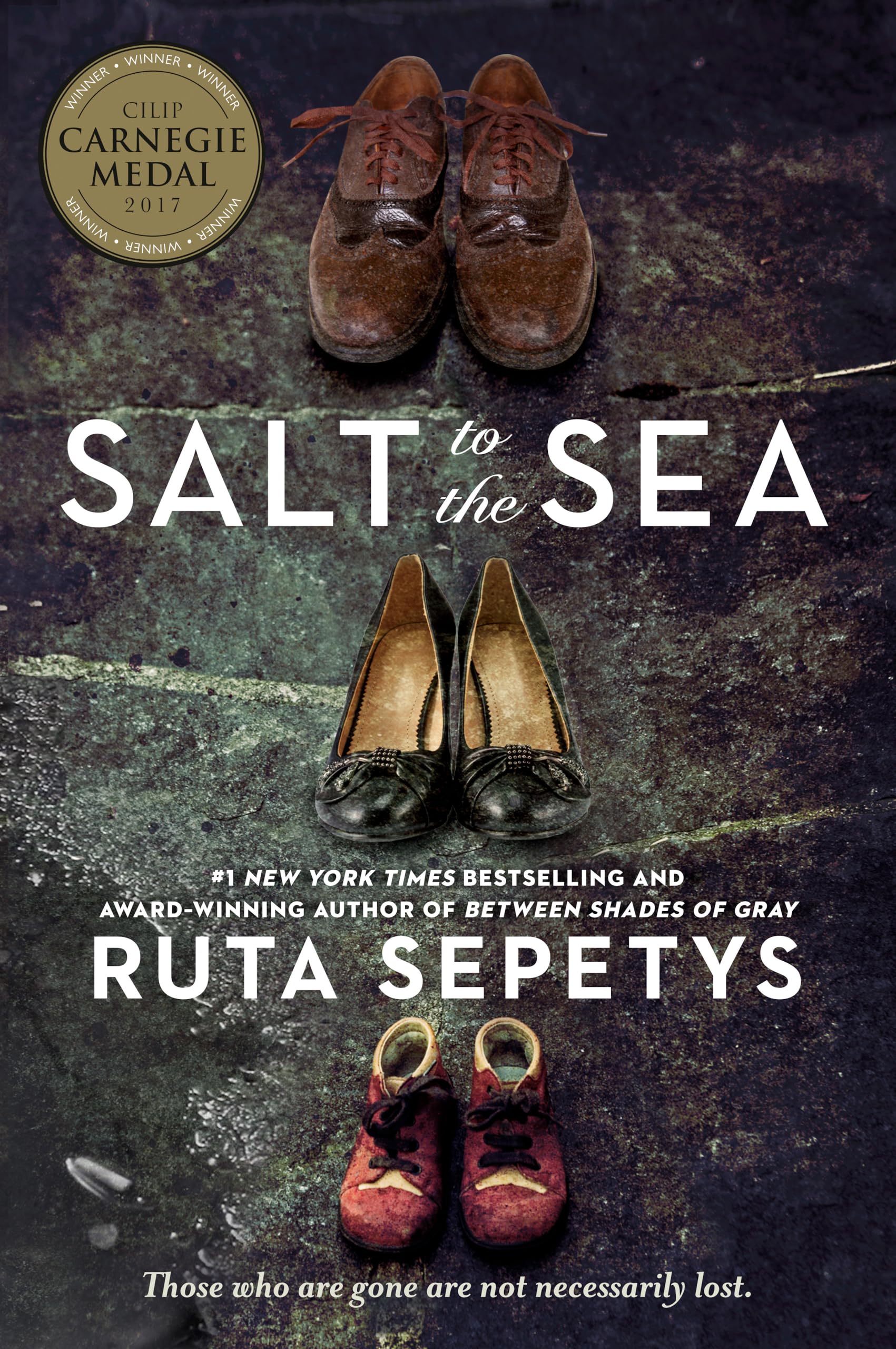 Algopix Similar Product 15 - Salt to the Sea