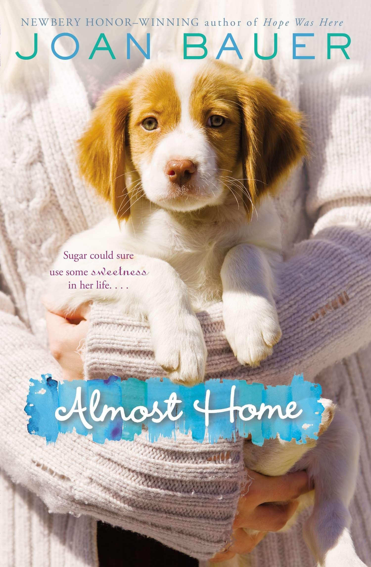 Algopix Similar Product 7 - Almost Home