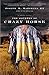 Algopix Similar Product 20 - The Journey of Crazy Horse A Lakota
