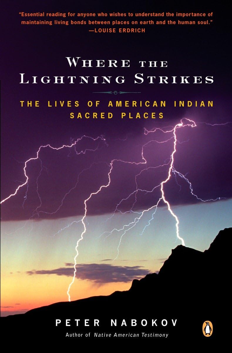 Algopix Similar Product 14 - Where the Lightning Strikes The Lives
