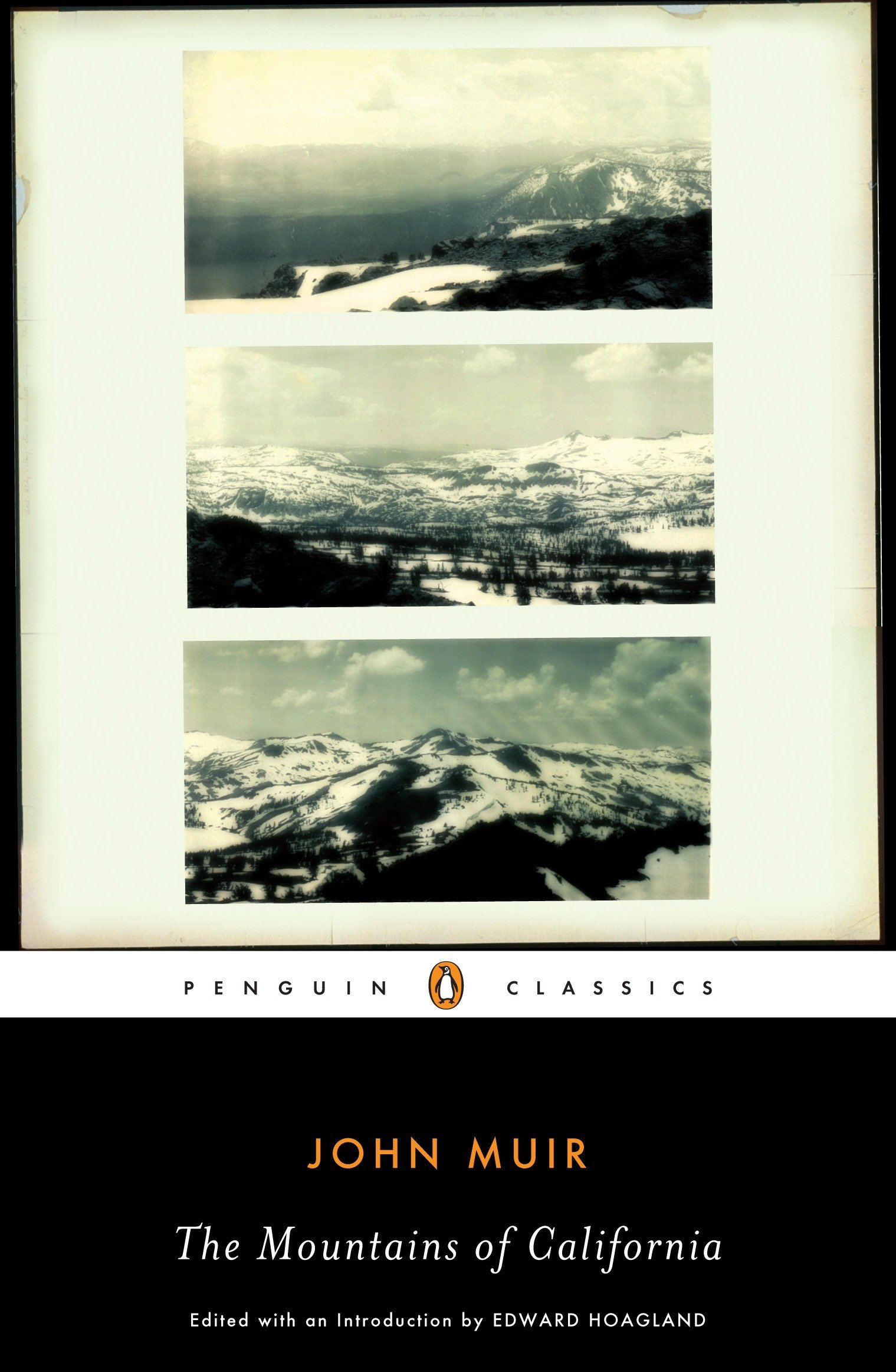 Algopix Similar Product 2 - The Mountains of California Penguin