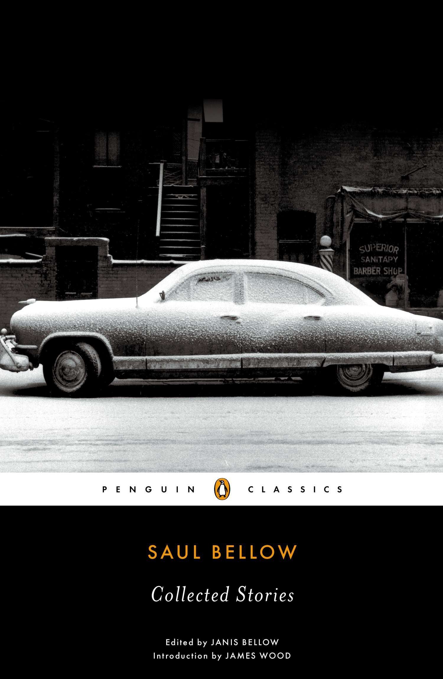 Algopix Similar Product 15 - Collected Stories (Penguin Classics)