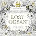 Algopix Similar Product 2 - Lost Ocean An Inky Adventure and