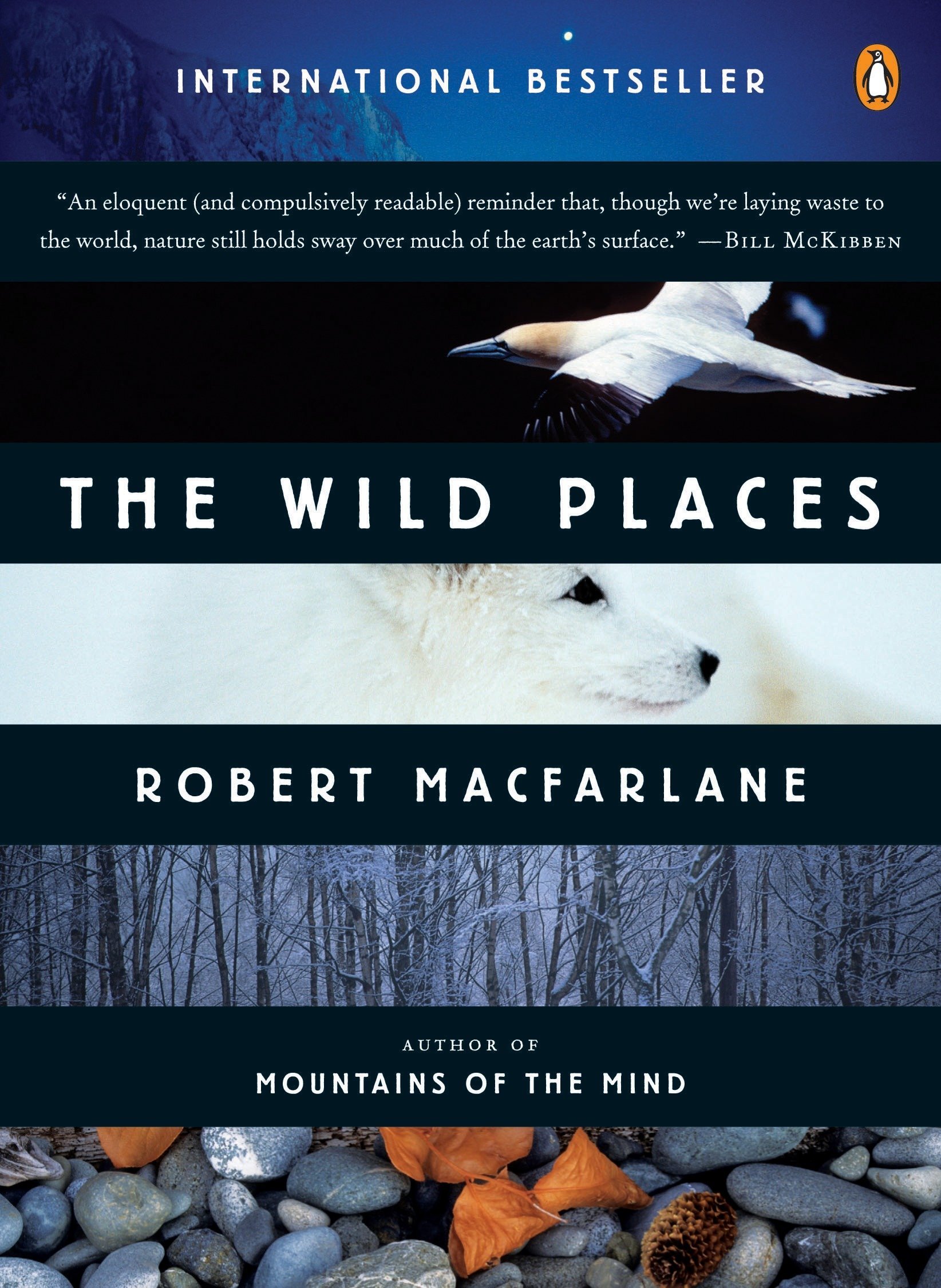 Algopix Similar Product 16 - The Wild Places (Landscapes)