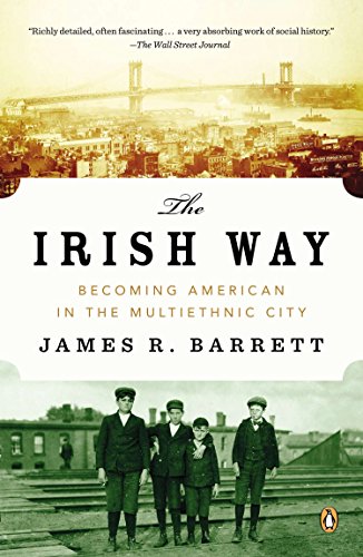 Algopix Similar Product 13 - The Irish Way Becoming American in the