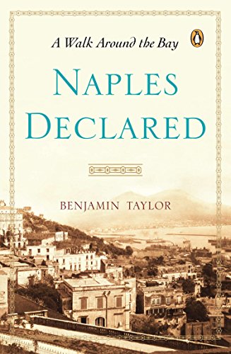 Algopix Similar Product 4 - Naples Declared: A Walk Around the Bay