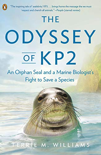 Algopix Similar Product 6 - The Odyssey of KP2 An Orphan Seal and