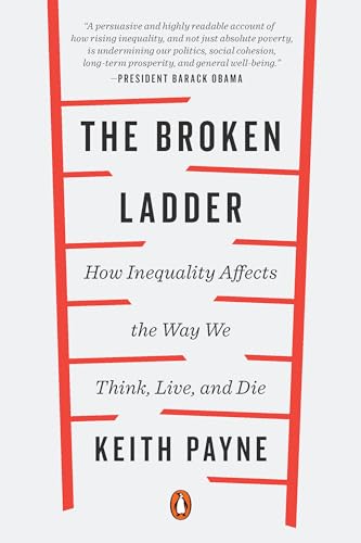 Algopix Similar Product 12 - The Broken Ladder How Inequality