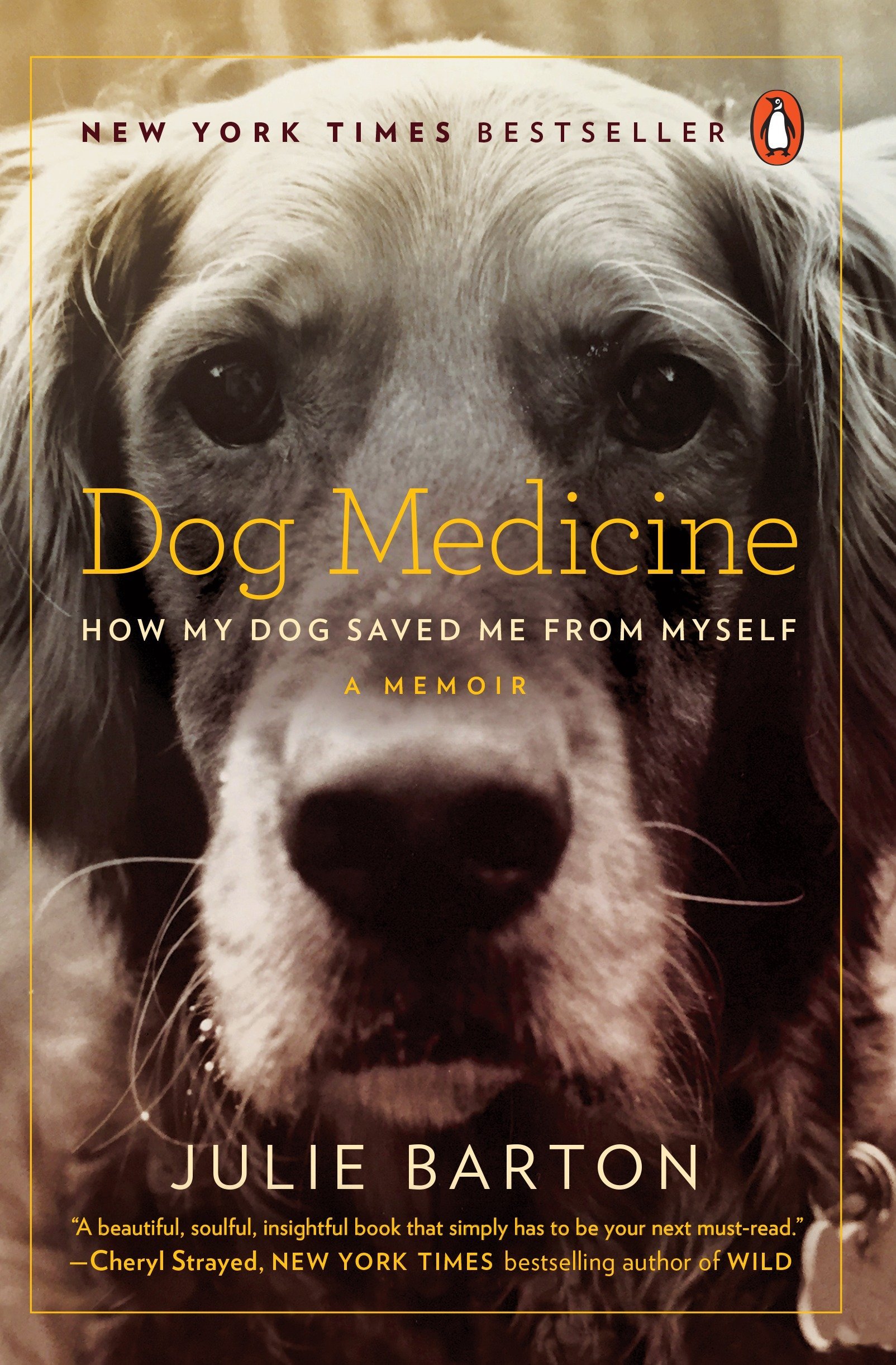 Algopix Similar Product 19 - Dog Medicine How My Dog Saved Me from